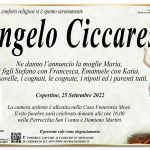 Angelo Ciccarese
