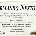 Armando Nestola